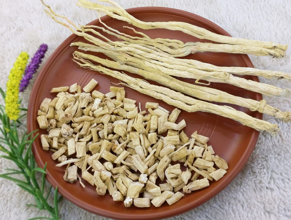 Các bài thuốc chữa bệnh từ đẳng sâm 