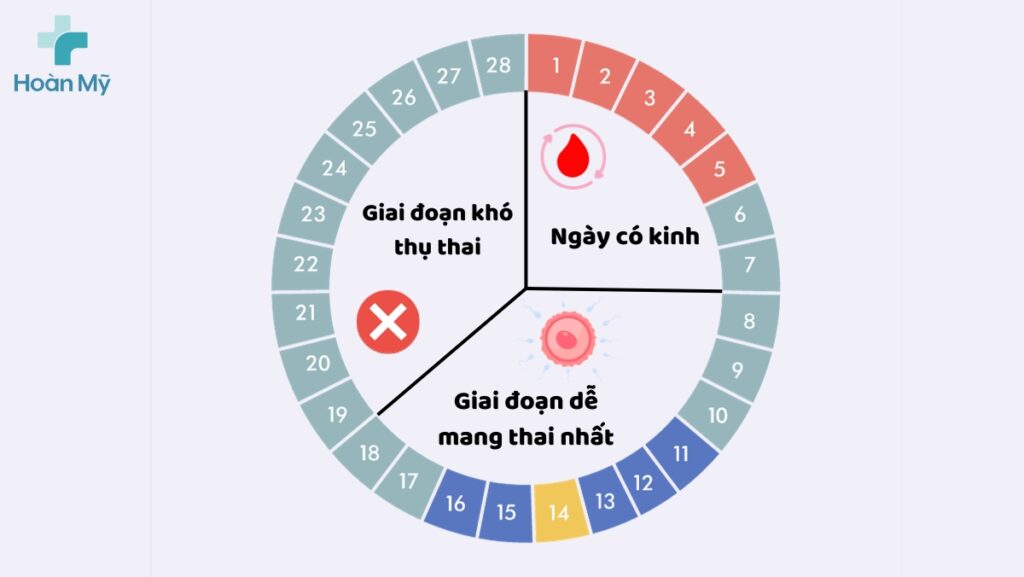 Kinh nguyệt là hiện tượng sinh lý hàng tháng ở cơ thể phụ nữ