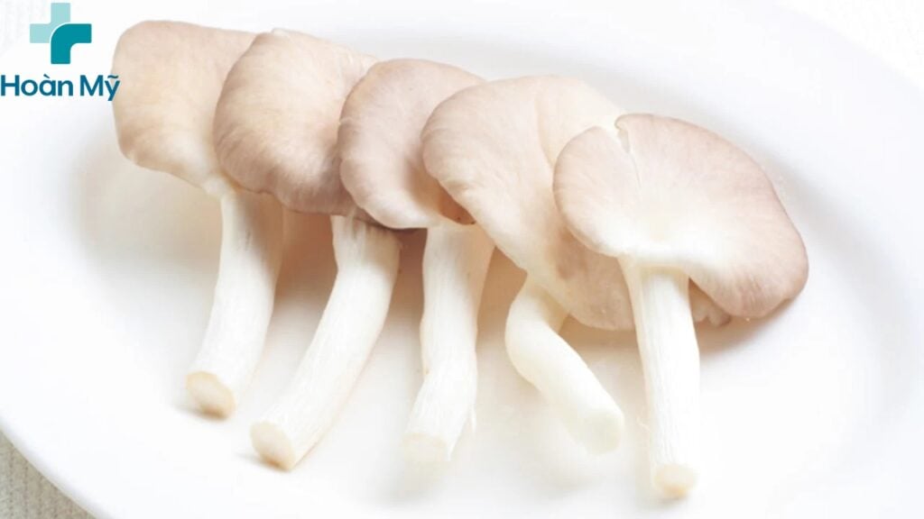 Nấm bào ngư phổ biến với hai loại nấm trắng và xám 