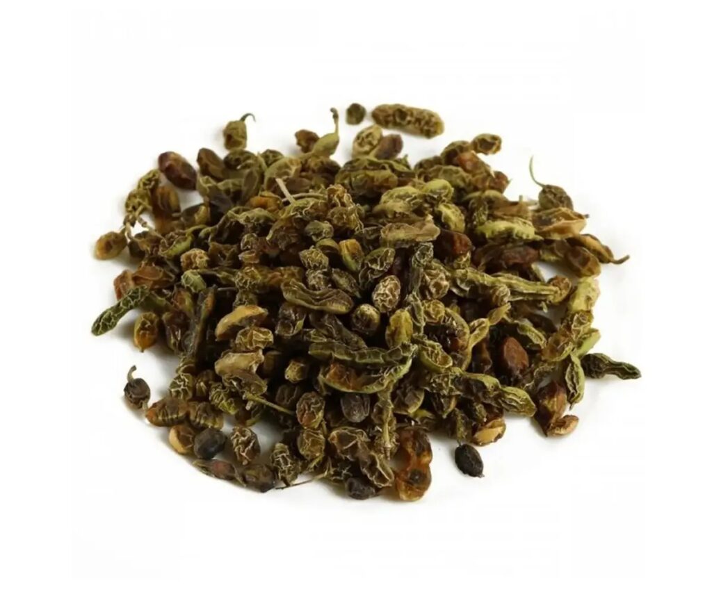 Trà hoa cây hòe mang lại nhiều công dụng tốt cho sức khỏe 