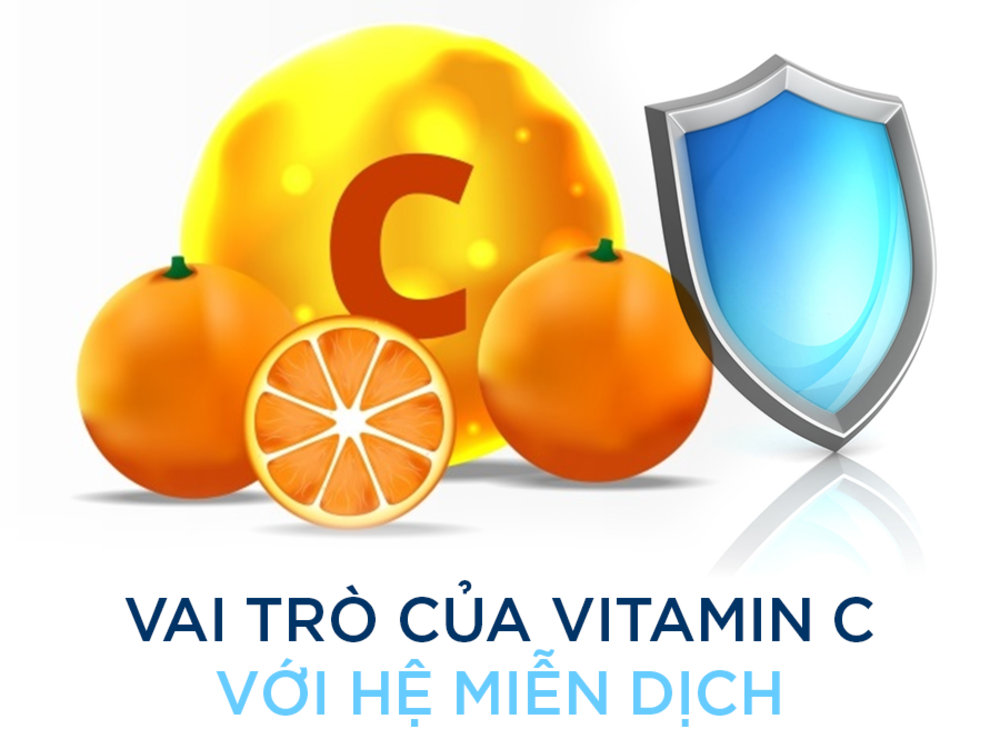 Công dụng của vitamin C là tăng cường hệ miễn dịch cho cơ thể