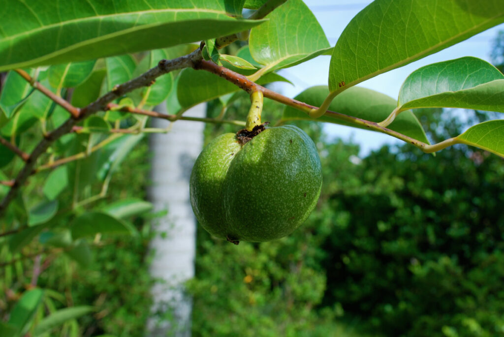 Cần đặc biệt thận trọng khi sử dụng bình bát