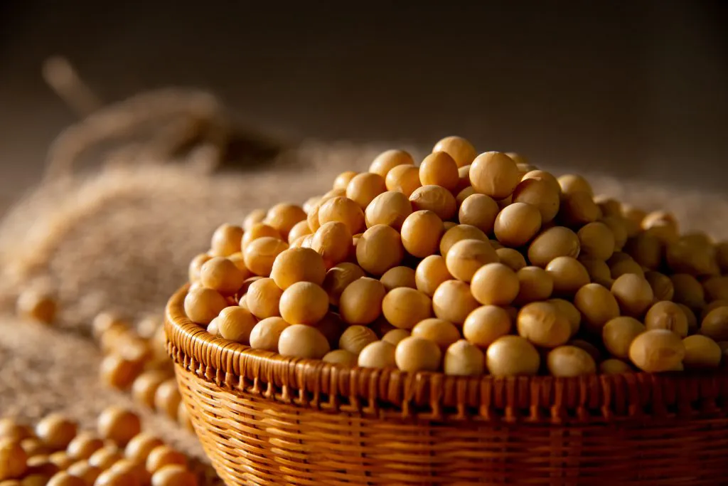 Đậu nành là thực phẩm giàu collagen thực vật