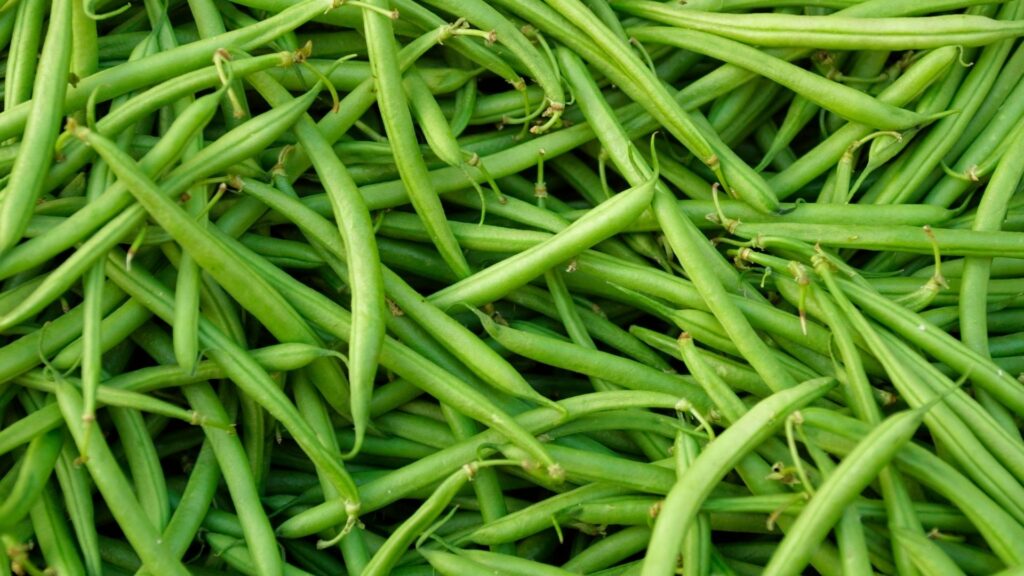 Đậu que kiểm soát bệnh tiểu đường 