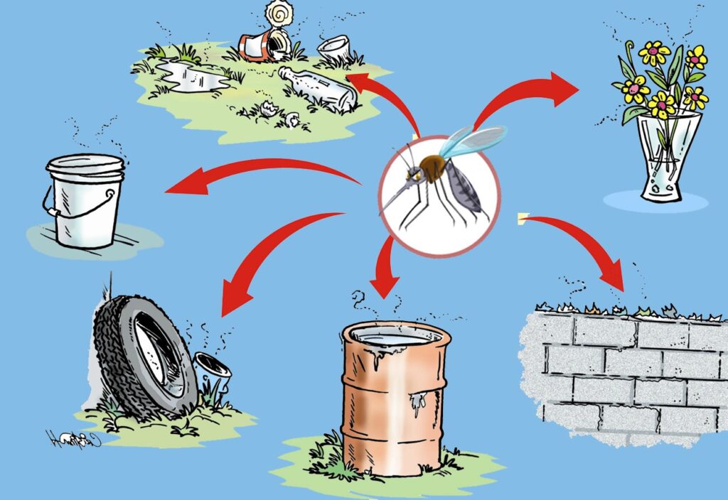 Diệt muỗi phòng sốt xuất huyết