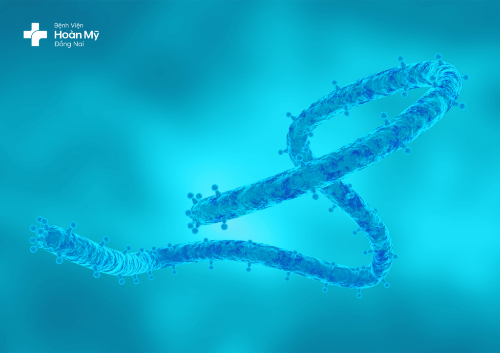 Những điều cần biết về virus Marburg