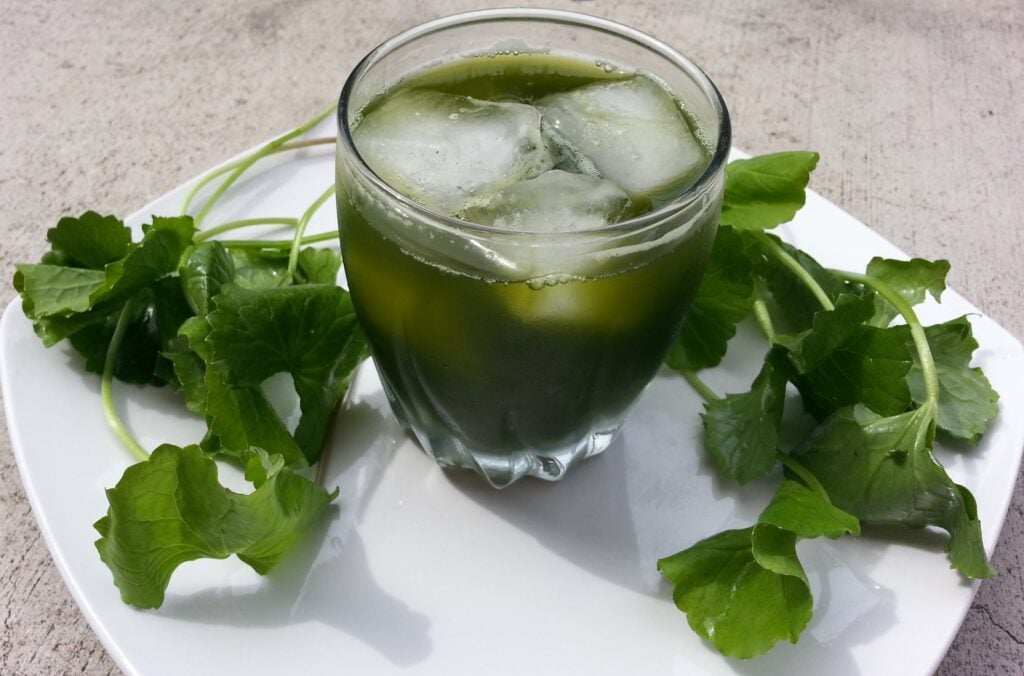 Lấy rau má tươi giã nát và vắt lấy nước cốt uống giúp thanh nhiệt cho cơ thể 