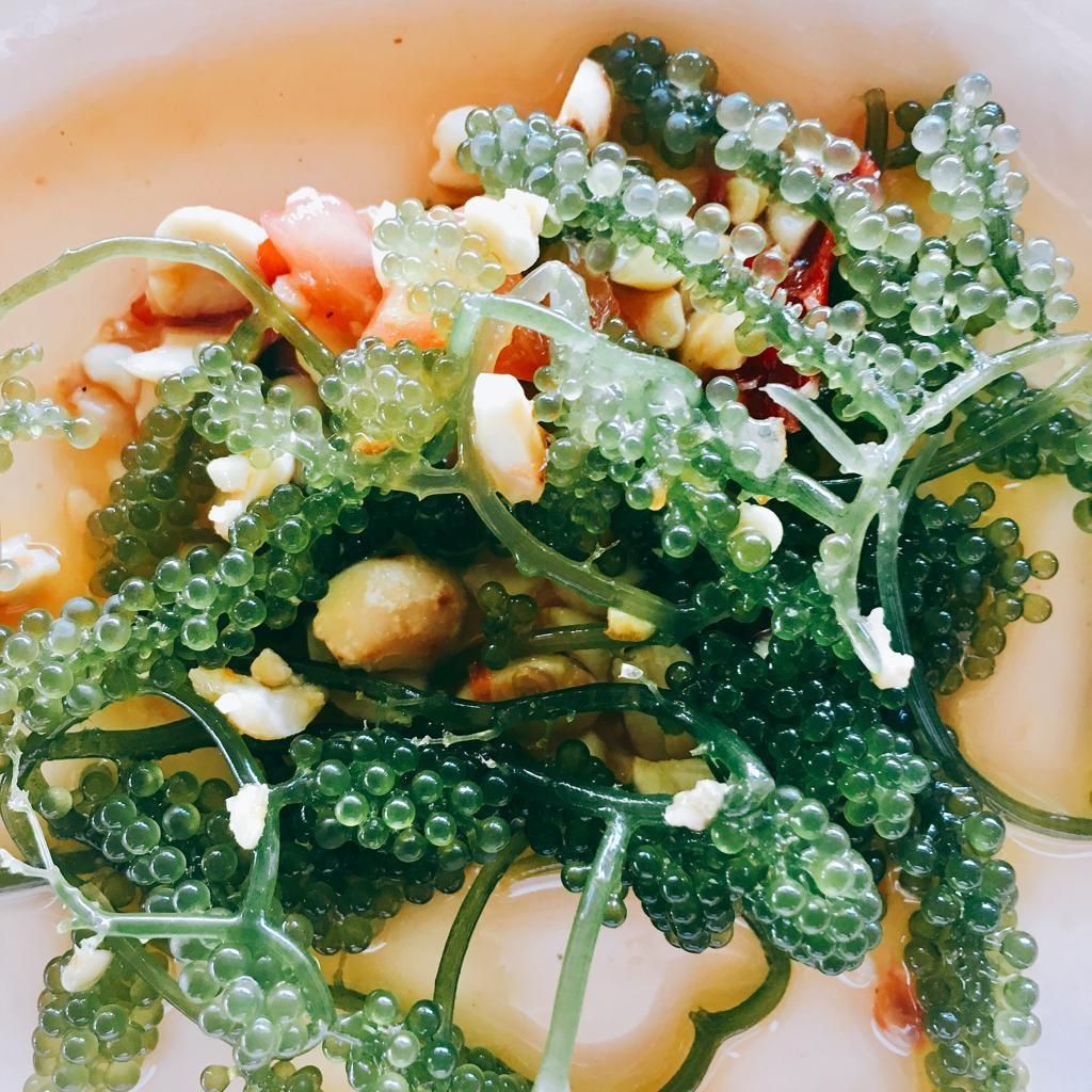 Rong nho giúp hạn chế táo bón