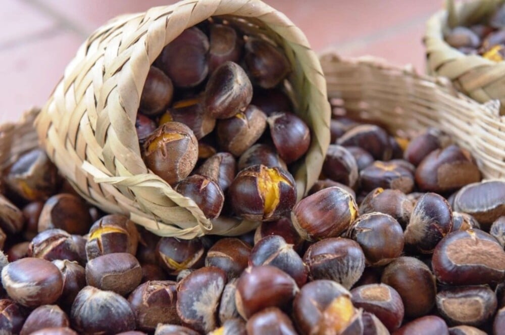 Hạt dẻ chứa nhiều vitamin nhóm B