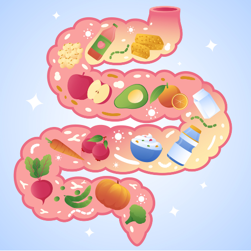 Người bệnh cần tham khảo chế độ ăn phù hợp trong và sau điều trị tắc ruột