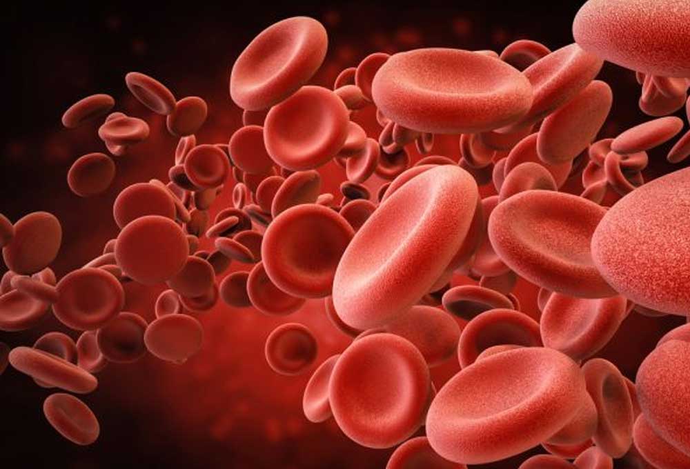 Kali có tác dụng phòng ngừa nhiều bệnh lý khác nhau