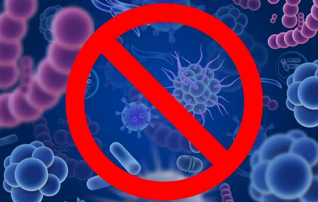 Chiết xuất từ lá duối có hoạt tính kháng khuẩn 