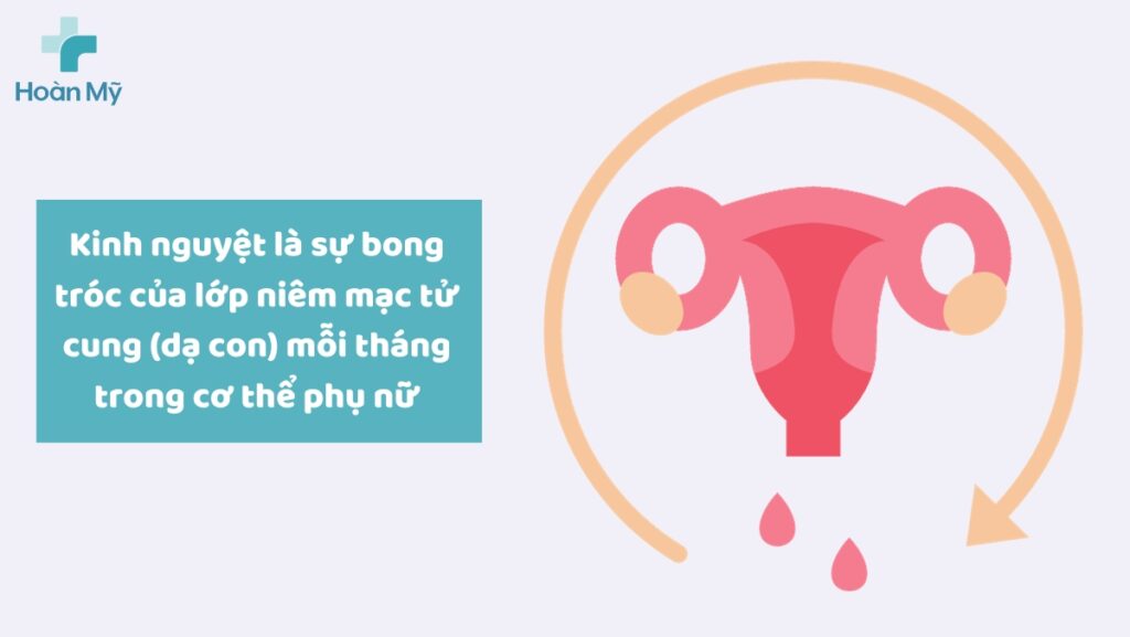 Kinh nguyệt là sự bong tróc của lớp niêm mạc tử cung 