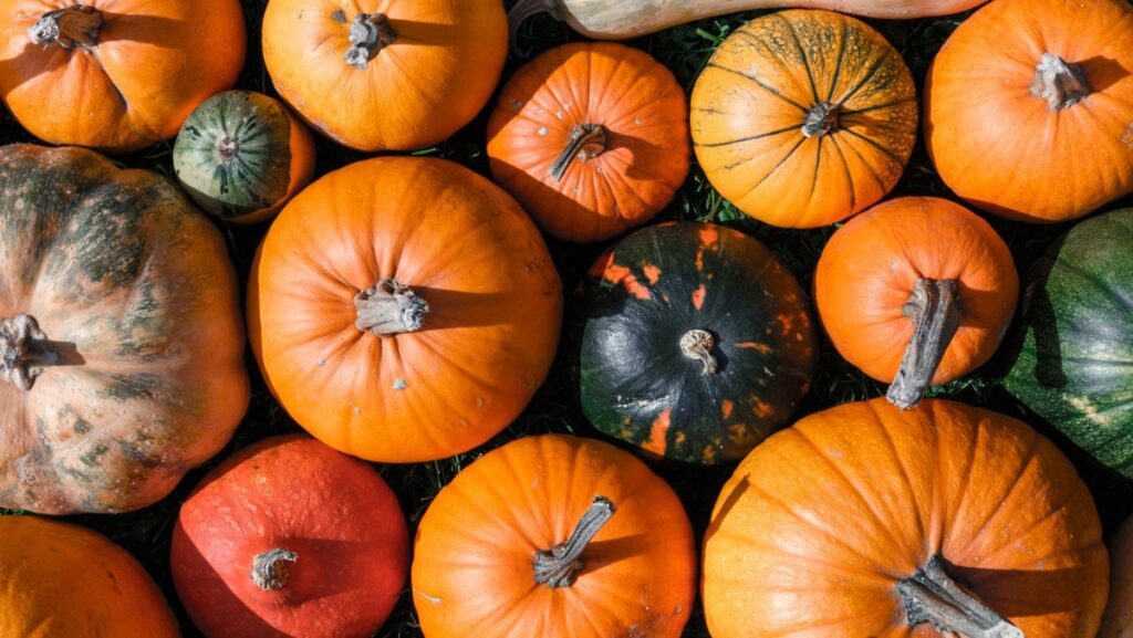 Một số lưu ý khi dùng bí đỏ