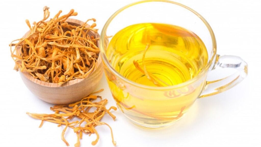 Lưu ý khi dùng đông trùng hạ thảo