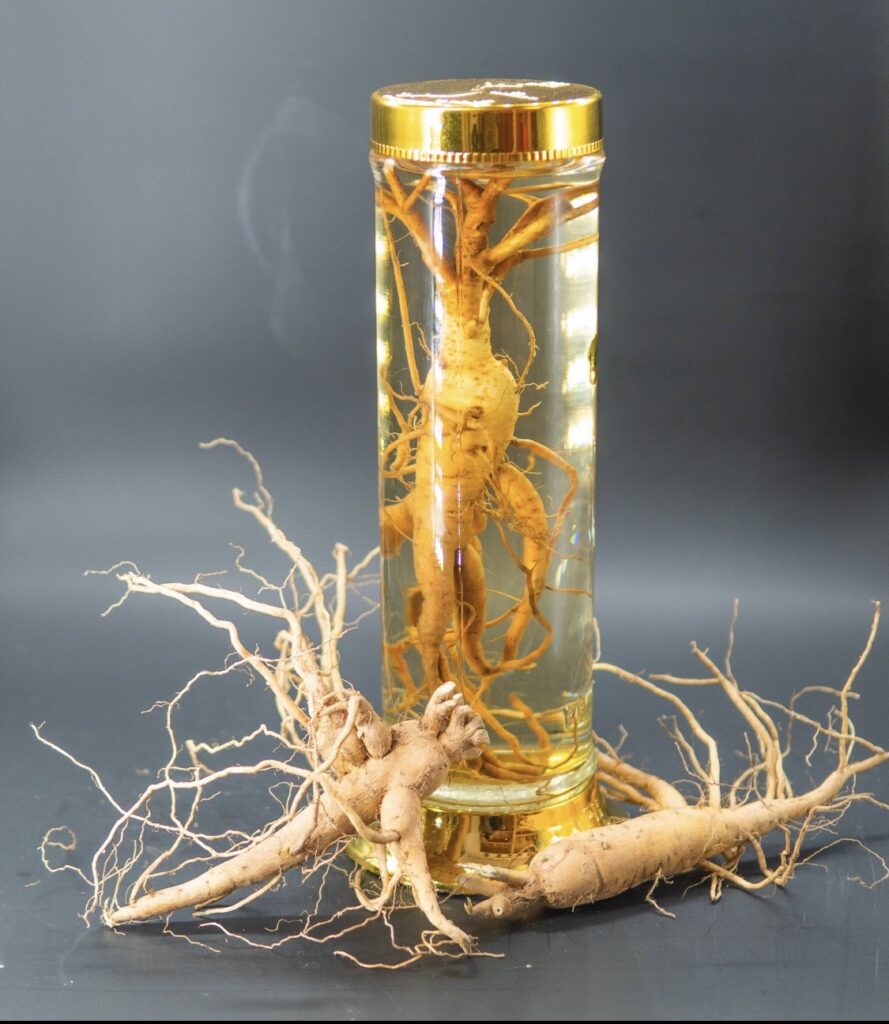 Lưu ý khi sử dụng sâm 