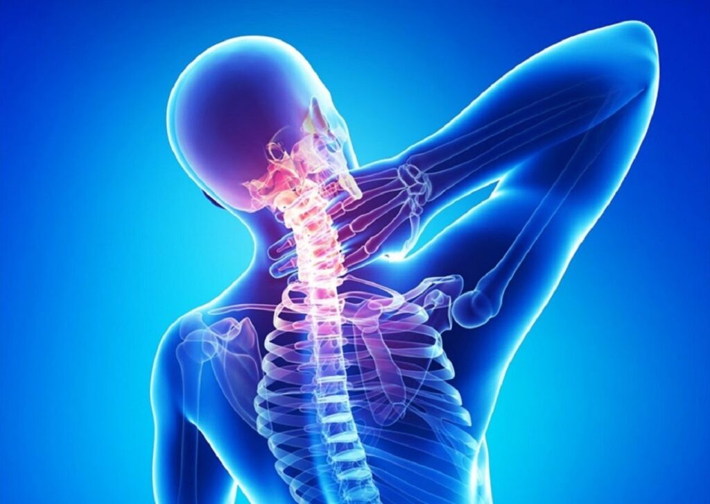 Một số bài thuốc trị bệnh từ cây xương khỉ