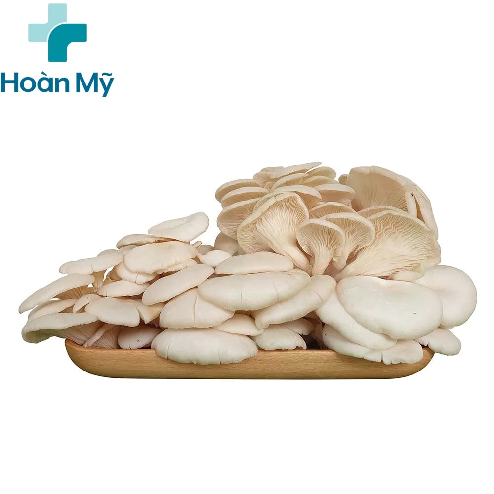 Tìm hiểu nấm bào ngư là gì 