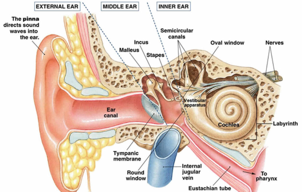 Viêm mê đạo tai khiến người bệnh khó khăn trong việc giữ thăng bằng