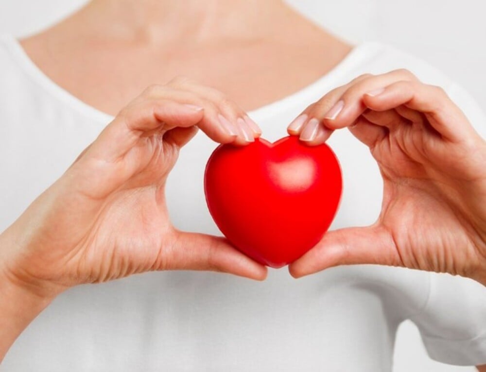 Rong biển giúp cải thiện hệ tim mạch