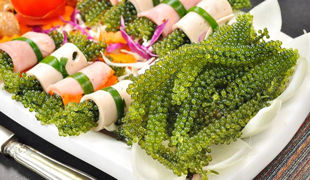 Rong nho tăng cường hệ miễn dịch