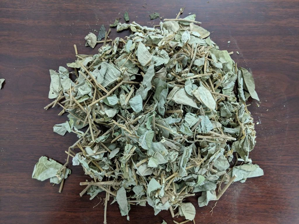 Hỗ trợ điều trị sỏi thận