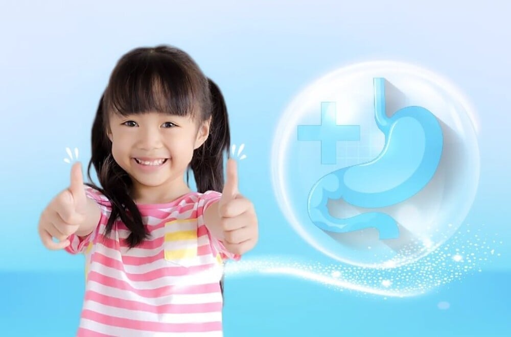 Giúp hệ tiêu hóa khỏe mạnh