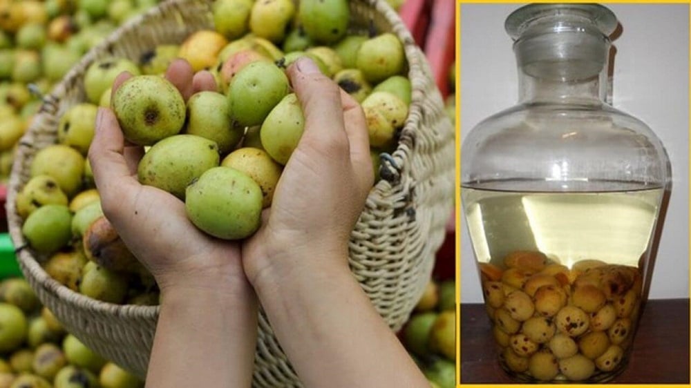 Các bài thuốc Đông Y từ quả táo mèo