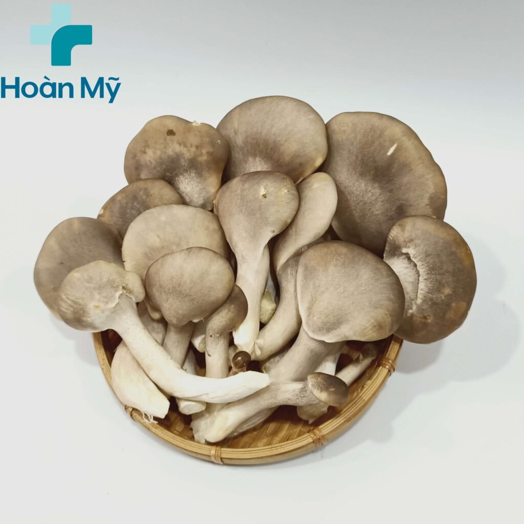 Nấm bào ngư cung cấp nhiều dưỡng chất quan trọng cho cơ thể 