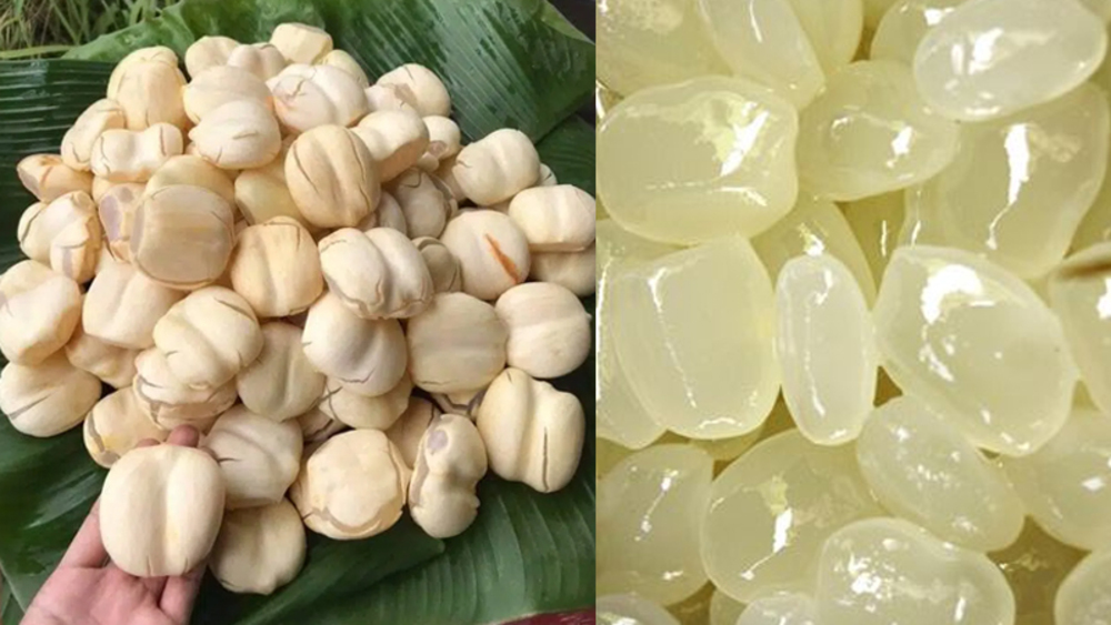 Thốt nốt là gì?