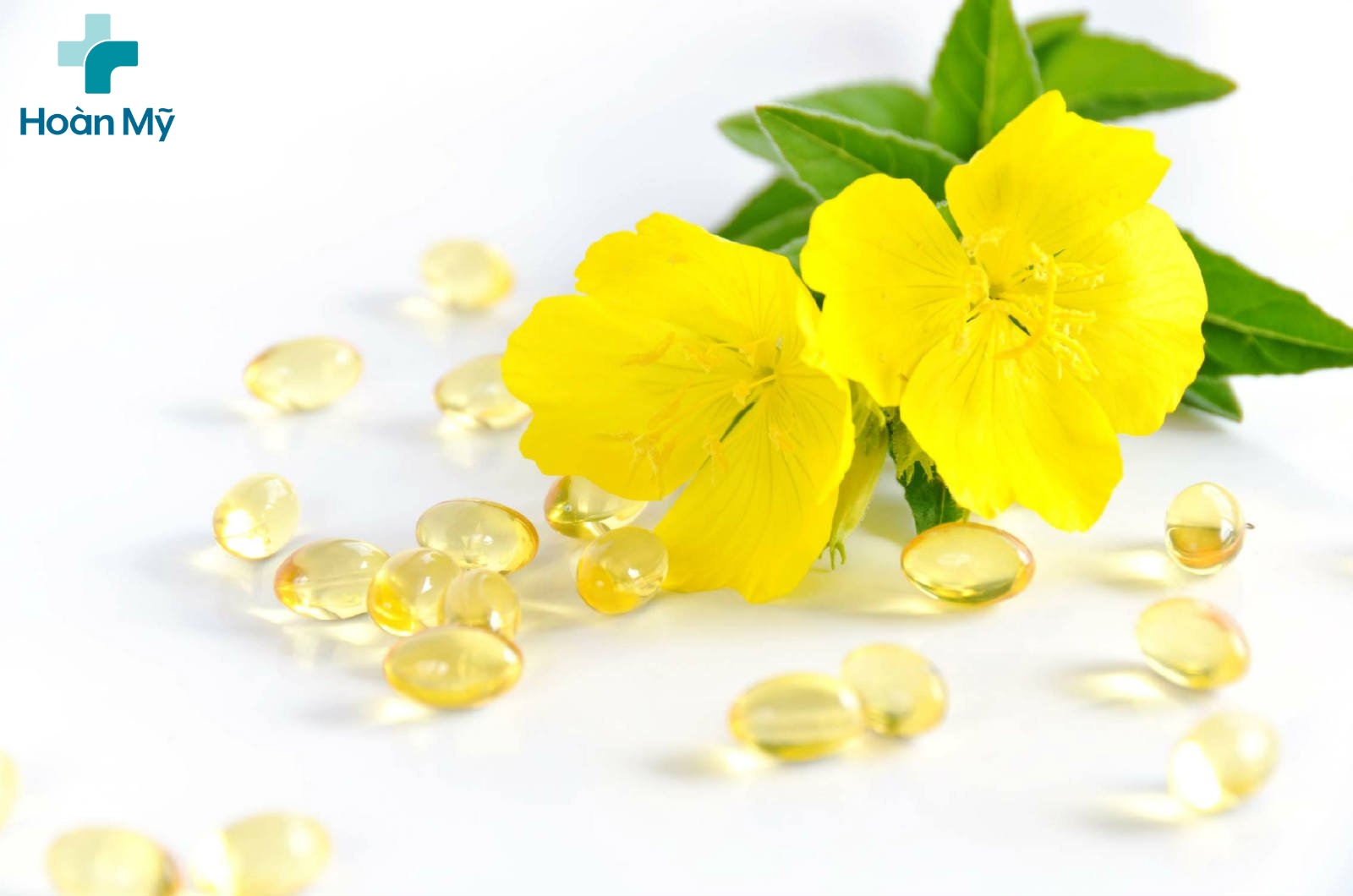 Công dụng tuyệt vời của tinh dầu hoa anh thảo