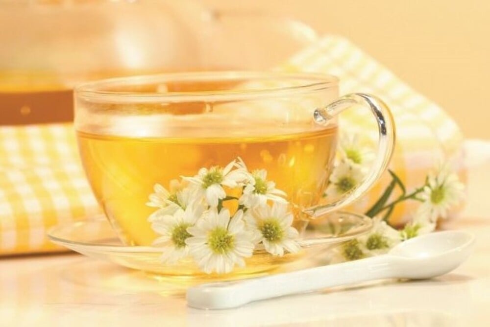Trà hoa cúc trắng chữa khô miệng, đau sưng rát cổ hoặc cao huyết áp
