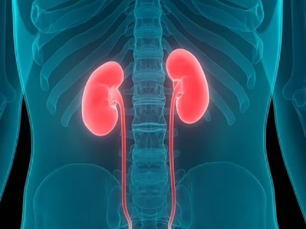 Uống nhiều nước gây ảnh hưởng đến thận 