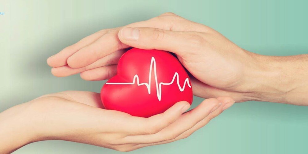 Vitamin B1 giúp cải thiện sức khỏe tim mạch